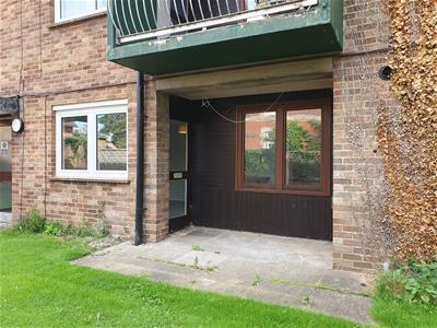 Picture 12